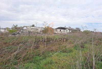 Teren Construcții intravilan de 4466 mp, în Bogata - 2