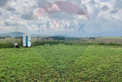 Teren Construcții intravilan de 517 mp, în Bod - 6