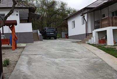 Casă cu 2 camere cu Teren 5000 Mp în Drăgășani