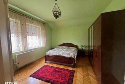 Casă cu 9 camere decomandat cu Teren 3000 Mp în Vladimirescu - 17