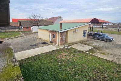 Spațiu comercial, de 550 mp, în Gottlob - 14