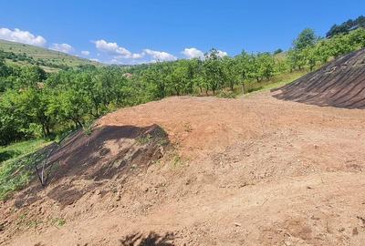 Teren Construcții intravilan de 729 mp, în Suceagu - 1