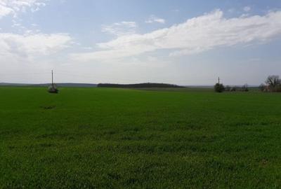 Teren de 130000 mp, în Herneacova - 1