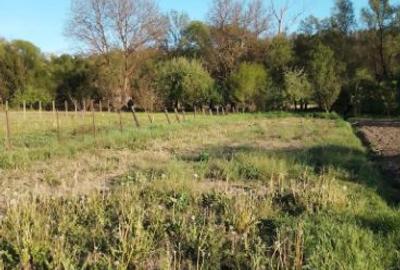 Casă cu 3 camere cu Teren 1000 Mp în Chiheru de Jos - 2