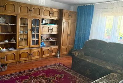 Casă cu 4 camere cu Teren 3200 Mp în Păltinișu - 5