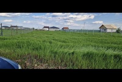 Teren de 600 mp, în Colacu - 6