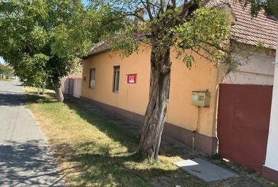 Casă individuală cu 3 camere cu Teren 3300 Mp în Central