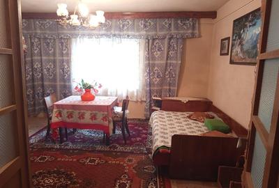 Casă individuală cu 14 camere cu Teren 1439 Mp în Brădișoru de Jos - 7