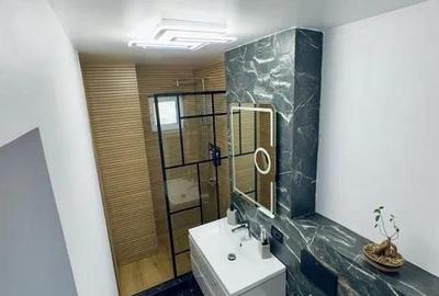 Apartament cu 2 camere decomandat în Narcisa