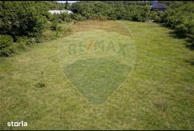 Teren de 3847 mp, în Gherăiești - 4