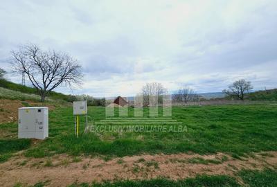 Teren Construcții intravilan de 630 mp, în Cetate - 1