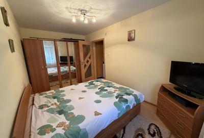 Apartament cu 2 camere semidecomandat, mobilat în Cetate - 19