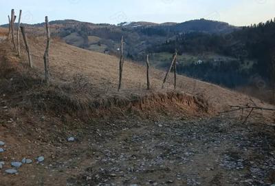 Teren de 2030 mp, în Central - 6