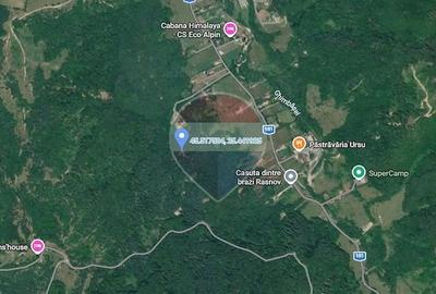 Teren de 10000 mp, în Glăjărie