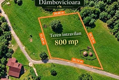 Teren intravilan în Dâmbovicioara