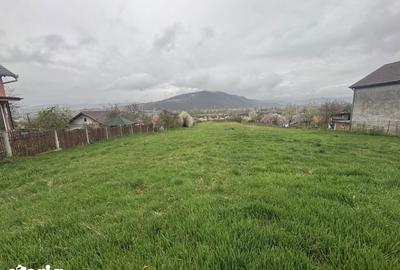 Teren de 2915 mp, în Vețel - 5