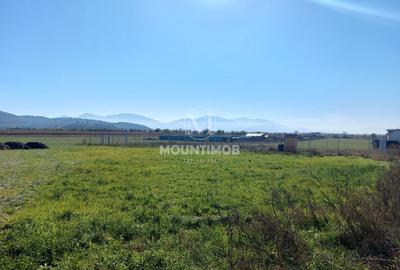 Teren Construcții intravilan de 1031 mp, în Exterior Nord