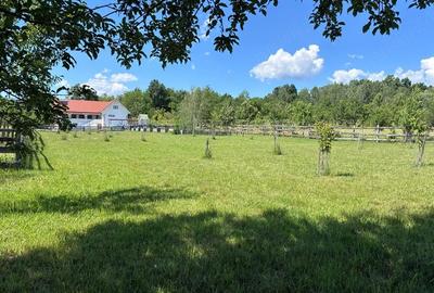 Casă cu 3 camere cu Teren 6000 Mp în Central