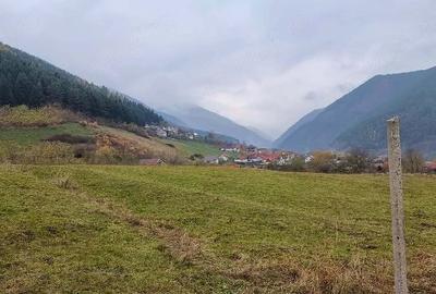Teren de 5000 mp, în Gura Râului