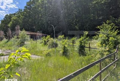 Teren de 957 mp, în Hulubești - 2