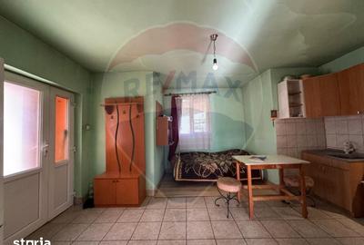 Casă cu 2 camere cu Teren 1172 Mp în Zădăreni - 3