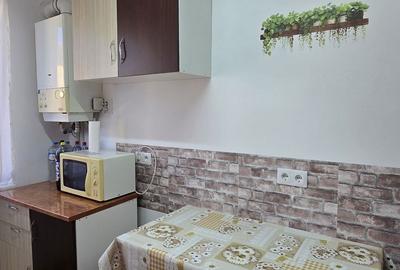 Apartament cu 2 camere decomandat în Central - 7