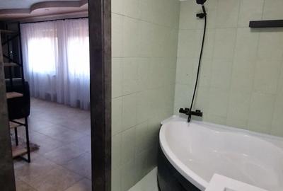 Apartament cu 2 camere semidecomandat în Iosefin