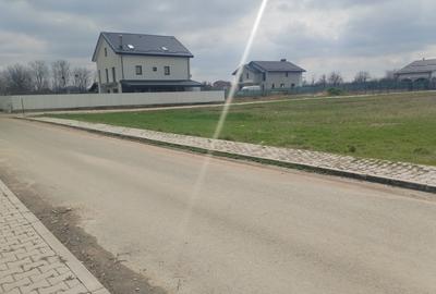 Teren Construcții intravilan de 450 mp, în Dragomirești-Vale - 2