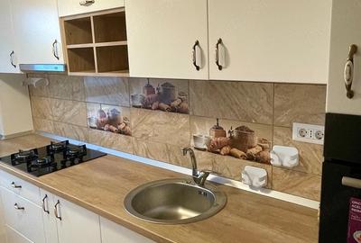 Apartament cu 2 camere semidecomandat în Cug - 4