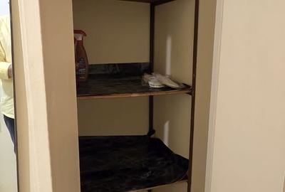 Apartament cu 2 camere semidecomandat în Centrul Civic - 16