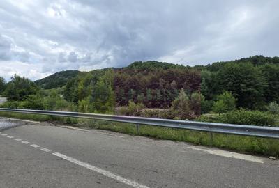 Casă cu 5 camere cu Teren 2200 Mp în Provița de Jos - 18