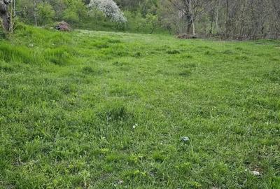Teren de 949 mp, în Sălătrucel - 4