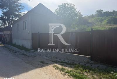 Casă cu 2 camere în Stracoș