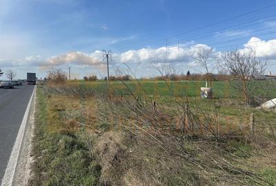Teren Construcții extravilan de 18000 mp, în Valu lui Traian - 9