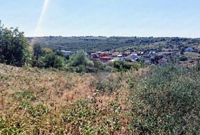 Teren de 915 mp, în Bârnova