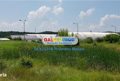Spațiu comercial, în Balotești