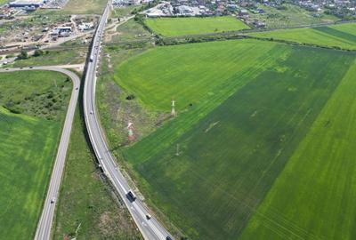Teren agricol extravilan de 28089 mp, în Nord - 15