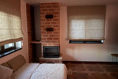 Casă cu 2 camere în Șura Mare - 4