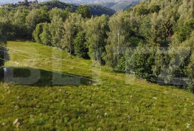 Teren de 5212 mp, în Dealu Negru - 11