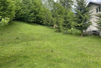 Spațiu comercial, în Valea Doftanei - 6