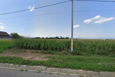 Teren de 5000 mp, în Răcăuți - 8