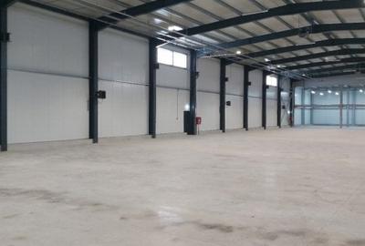 Spațiu industrial, de 2,154 mp, în Ștefăneștii de Jos - 3
