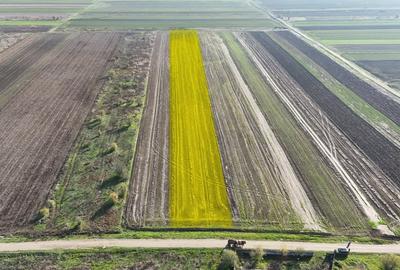 Teren Construcții intravilan de 10000 mp, în Gulia - 4