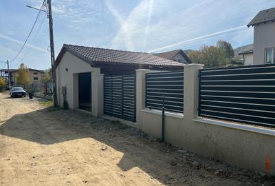 Casă cu 3 camere în Sadu