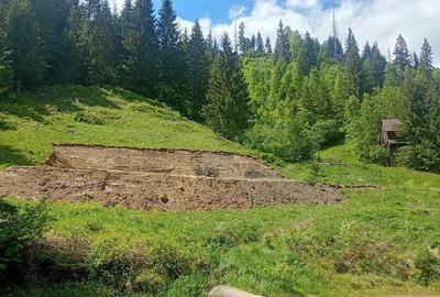 Teren de 3100 mp, în Muntele Băișorii - 1