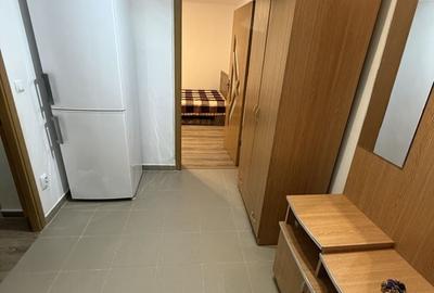 Garsonieră decomandată în Brazda lui Novac - 4
