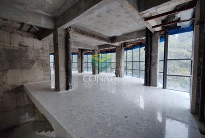Spațiu comercial, de 845.57000732422 mp, în Unirii - 6
