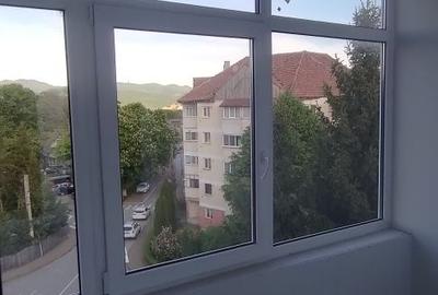 Apartament cu 2 camere decomandat în Coman - 3