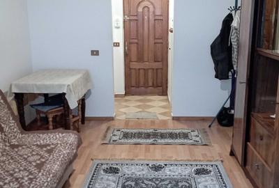 Garsonieră nedecomandată în Cărbunari - 8