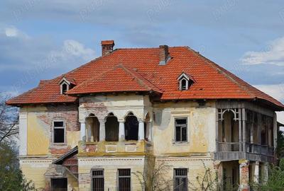 Casă cu Teren 4100 Mp în Cornești